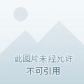 荡宋