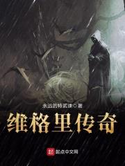 维格里传奇 维格里传奇